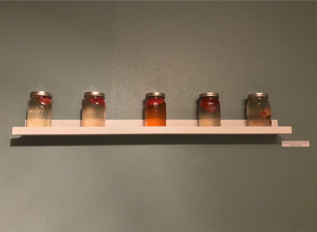 The same jars later in the week, the water turned pink, orange and cloudy.